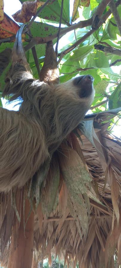 Casa Katharina Villa Cahuita Bagian luar foto